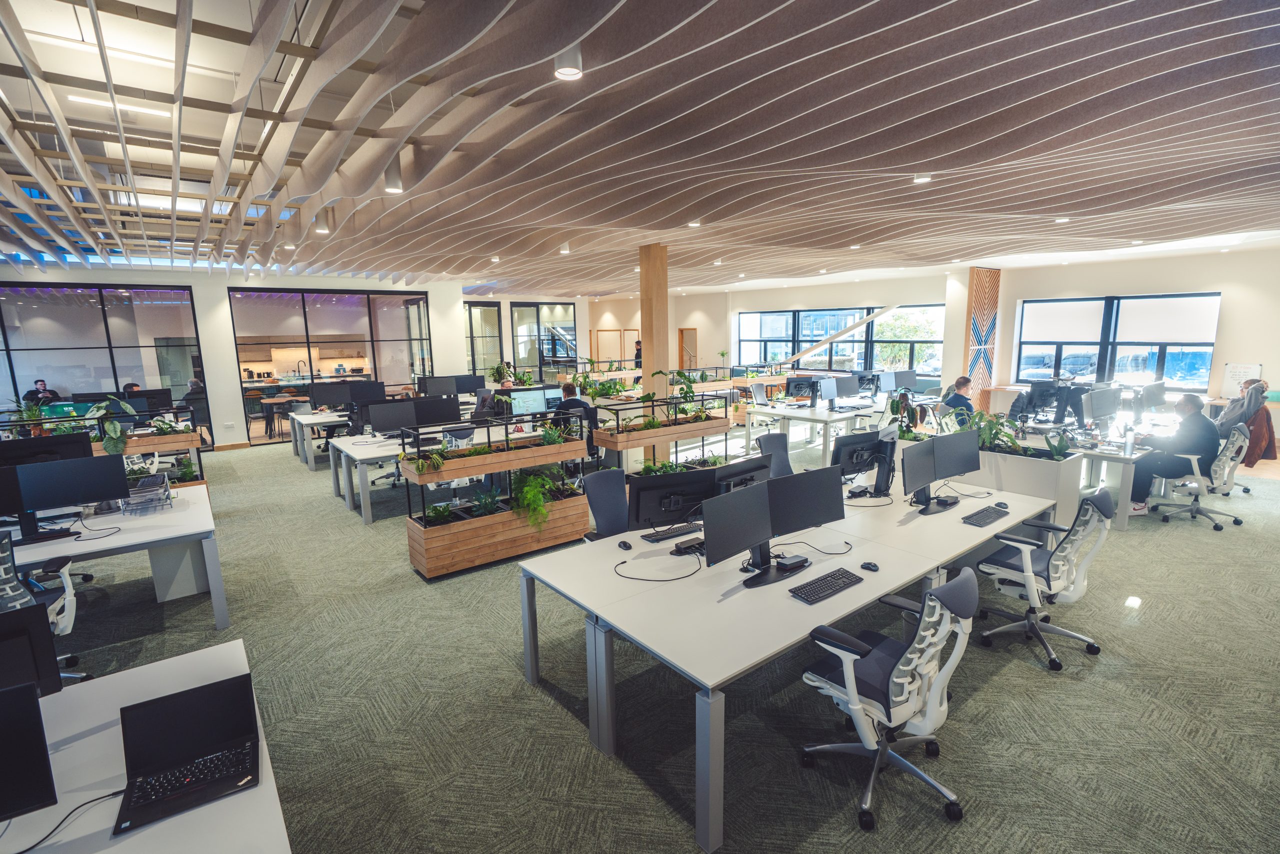 Photo shows a contemporary office design layout, with white desks and chairs for computer stations and a unique acoustic ceiling material