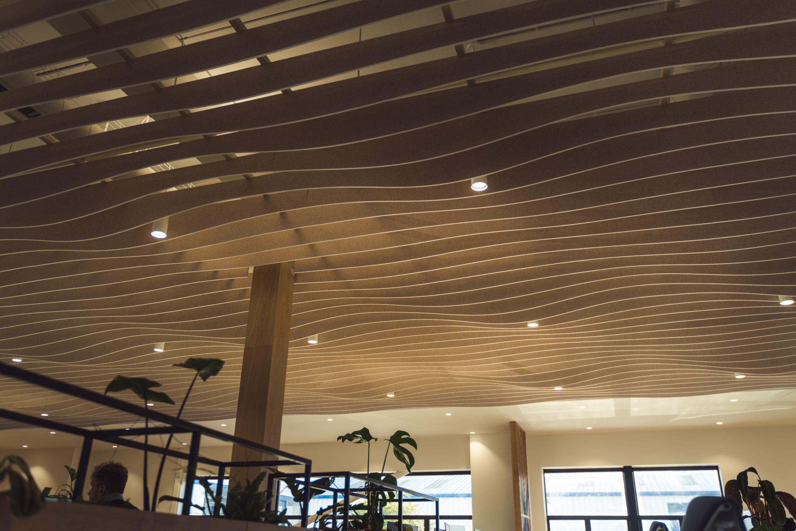 Curved timber ceiling rafters within an office environment for modern office desgn mixing contemporary style with industrial environments