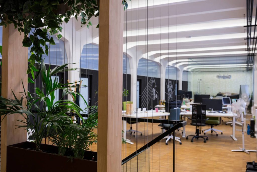 empty-office-with-pot-plant
