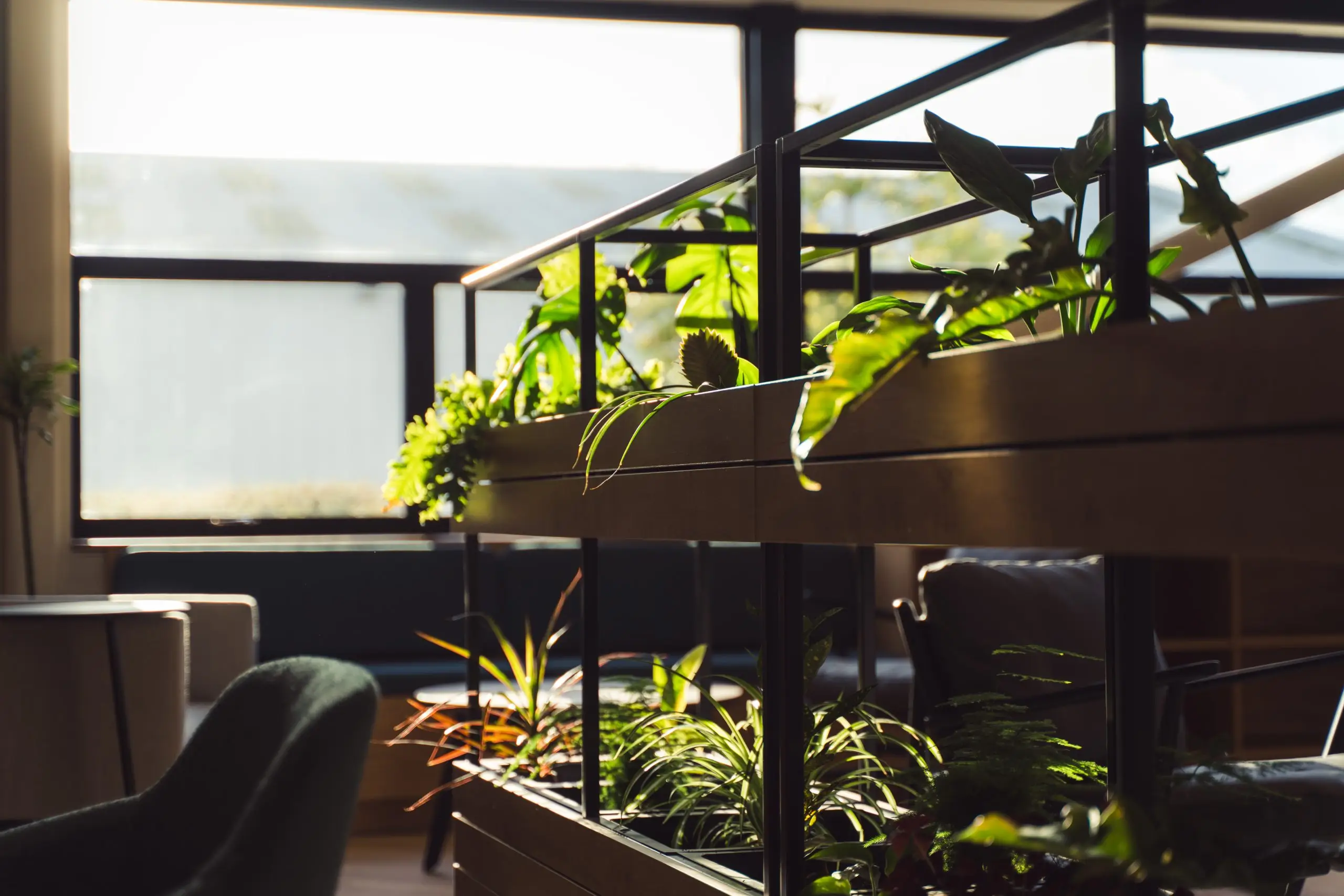 Bringing nature inside with plants and other natural elements